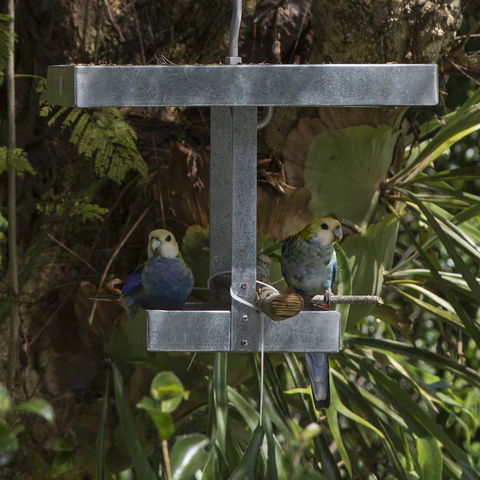 Bower 63 - Tourism Hervey Bay 20