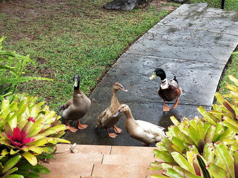 Waterfront Theme Park Getaway - Hervey Bay Accommodation 25