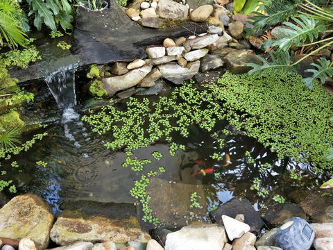 Waterfront Theme Park Getaway - Hervey Bay Accommodation 26