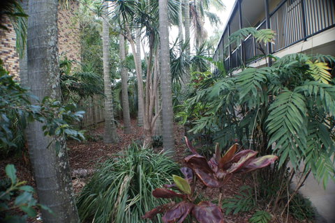 Best Western Airport 85 Motel - Hervey Bay Accommodation 34