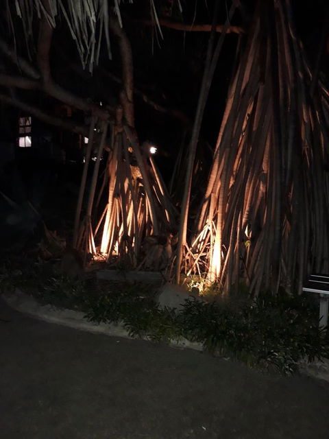 Pandanus Coolum Beach - Hervey Bay Accommodation 10