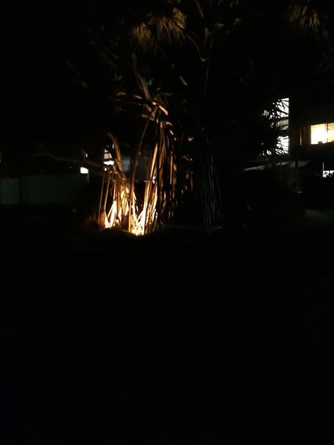 Pandanus Coolum Beach - Hervey Bay Accommodation 8