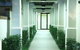 Domain Serviced Apartments - thumb 8
