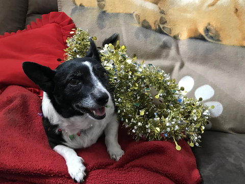 Nanango Star Motel - Tourism Hervey Bay 14