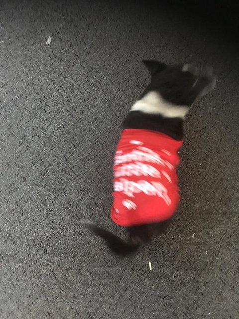 Nanango Star Motel - Tourism Hervey Bay 1