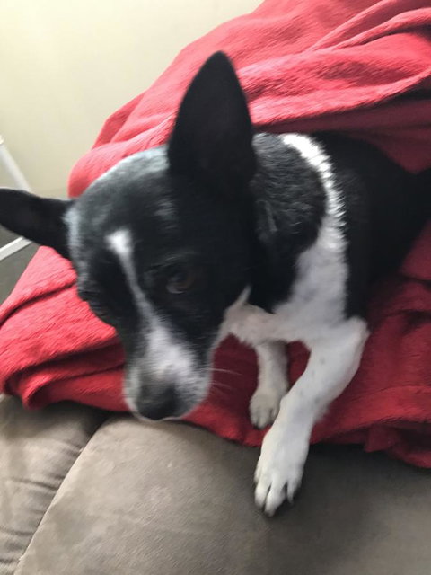 Nanango Star Motel - Tourism Hervey Bay 15