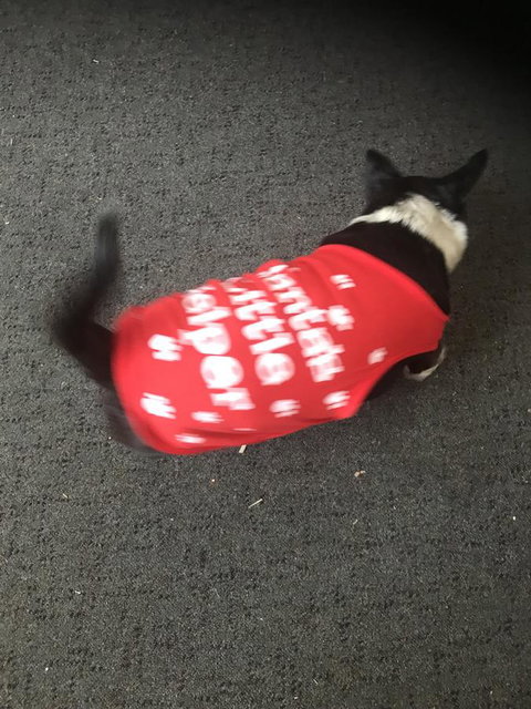 Nanango Star Motel - Tourism Hervey Bay 2