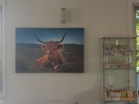 Highland House - Hervey Bay Accommodation 4