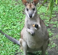 Bluewater Bed  Breakfast Cairns - Hervey Bay Accommodation
