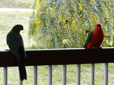 Loughmore House - Tourism Hervey Bay 9