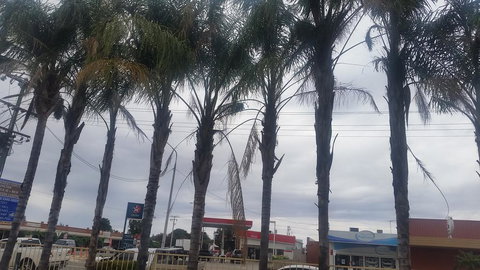 Wentworth Club Motel - Hervey Bay Accommodation 2