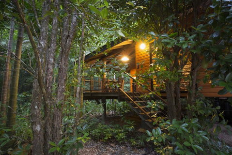 Wildwood - Hervey Bay Accommodation 0