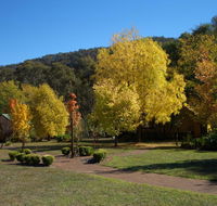 Willowlake Cottages - Tourism Hervey Bay