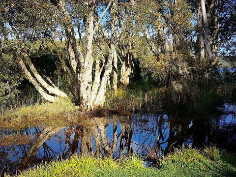 Wisteria Cottage On The Lagoon/Beach - Tourism Hervey Bay 2