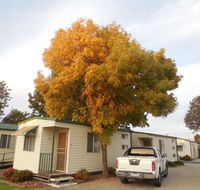 Wodonga Caravan  Cabin Park - Hervey Bay Accommodation