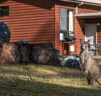 Wonderland Cottages - Tourism Hervey Bay