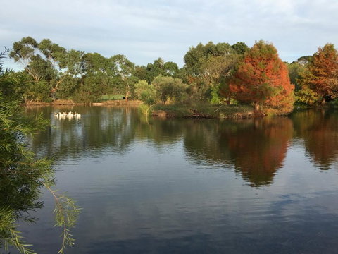 Wonderland Hobby Farm - Hervey Bay Accommodation 2