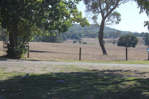 Wonky Stables Holiday Park - Tourism Hervey Bay 2
