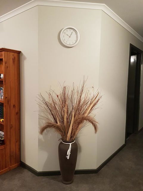 Wudinna Farm View - Tourism Hervey Bay 3