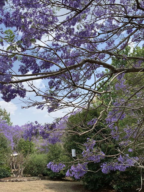 Wyndover Mountain Retreat - Tourism Hervey Bay 1