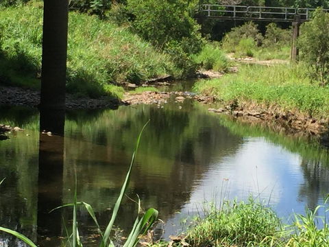 Yandina Caravan Park - Tourism Hervey Bay 2
