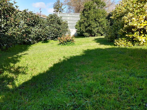 Young Goldrush Motel - Hervey Bay Accommodation 2