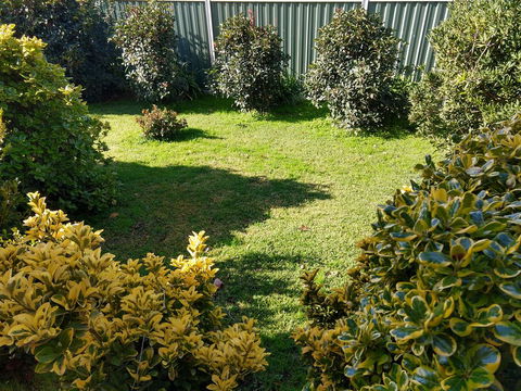 Young Goldrush Motel - Hervey Bay Accommodation 3