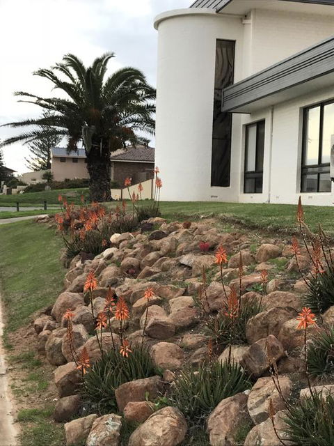 Zebras Guest House Geraldton - Hervey Bay Accommodation 3