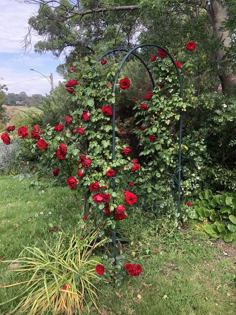 Zen Garde - Hervey Bay Accommodation 2