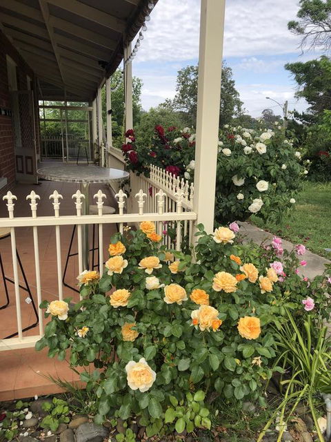 Zen Garde - Hervey Bay Accommodation 1