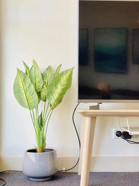ZEN Homes On Collins - Hervey Bay Accommodation 3