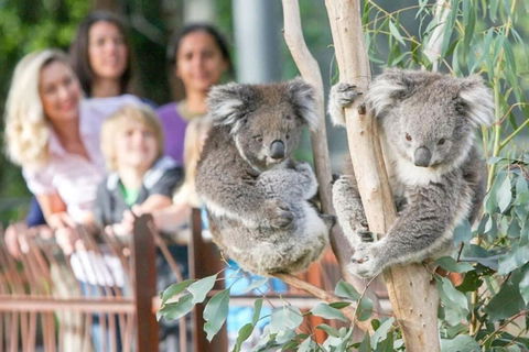A 3BR Apt Next To Melbourne Zoo FREE Parking - Tourism Hervey Bay 2