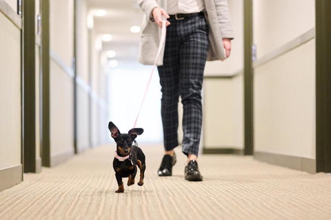 Abode Phillip - Tourism Hervey Bay 4