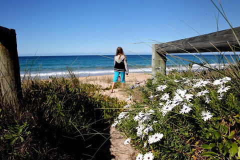 Absolute Beachfront Mollymook - Tourism Hervey Bay 4
