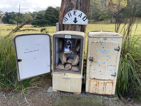 Adina Tiny House Bruny Island - Tourism Hervey Bay 3