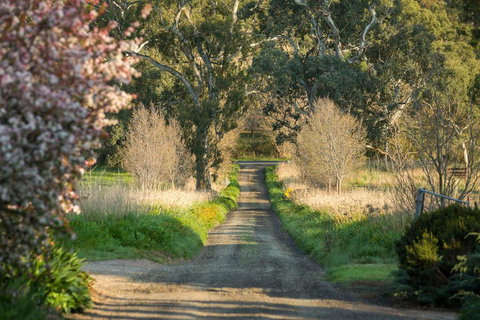 AL RU Farm - Tourism Hervey Bay 2