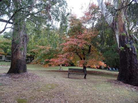 Alpine Riverside Cottages - Tourism Hervey Bay 4