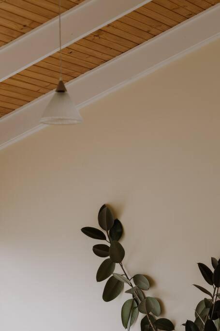 Amarela Haus - Calming Retreat Within Oceans Reach - Tourism Hervey Bay 1