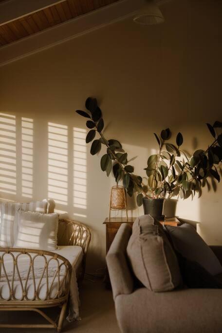 Amarela Haus - Calming Retreat Within Oceans Reach - Tourism Hervey Bay 2