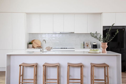 Aster - Tourism Hervey Bay 1