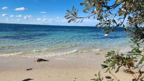 AXL Orion Beach Home: Beach Front - Tourism Hervey Bay 3