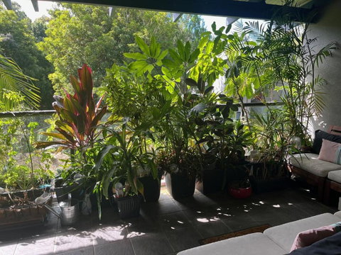 Baden 57 - Rainbow Shores Pools - Tennis Court - Walk To Beach - Aircon - Hervey Bay Accommodation 3