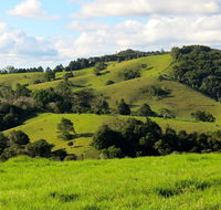 Maleny Springs Farm - Tourism Hervey Bay