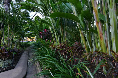 Port Douglas Apartments - Adults Only Oasis - Hervey Bay Accommodation 9
