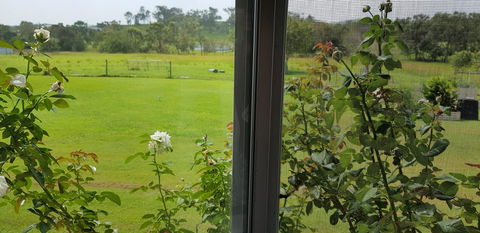 Hay Point Country BnB - Hervey Bay Accommodation 6