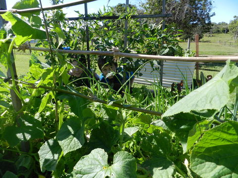 Hay Point Country BnB - Hervey Bay Accommodation 17