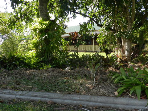 Hay Point Country BnB - Hervey Bay Accommodation 23