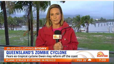 Hinchinbrook Holiday Apartments - Hervey Bay Accommodation 13