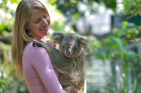 Martinique On Macrossan - Tourism Hervey Bay 30