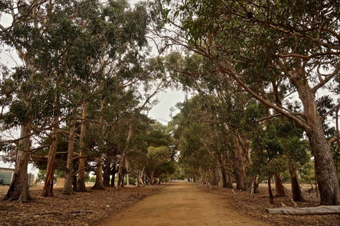 Hanson Bay Cabins - Hervey Bay Accommodation 21